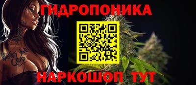 круглые Новодвинск