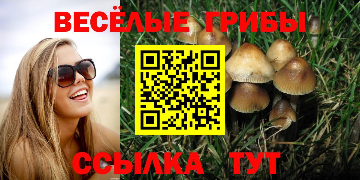 Хабаровск  Галлюциногенные грибы Psilocybe  Вход с VPN 