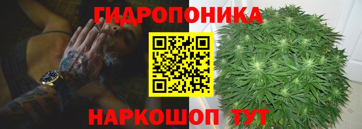 Каннабис сатива  Бошки Шишки OG Kush  Вход с VPN  Хабаровск 